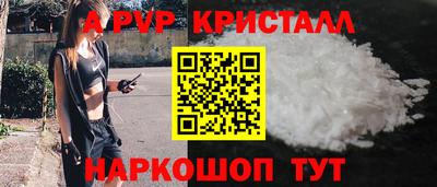 стаф Гатчина