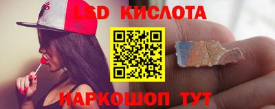 стаф Гатчина