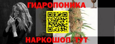 стаф Гатчина