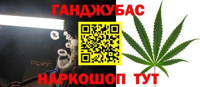 стаф Гатчина