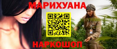 стаф Гатчина