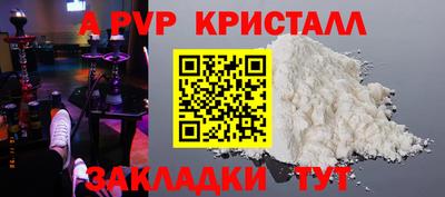 стаф Гатчина