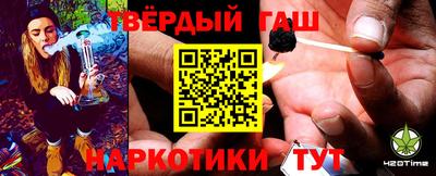 стаф Гатчина
